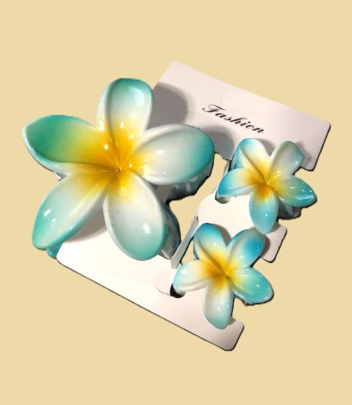 Barrette Cheveux Fashion Medium 12pcs - A-32